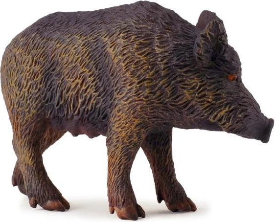 Sanglier – laie COLLECTA