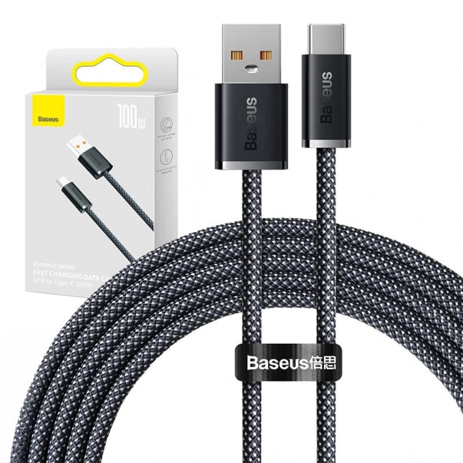 Câble USB vers USB-C Baseus Dynamic Series 2m noir