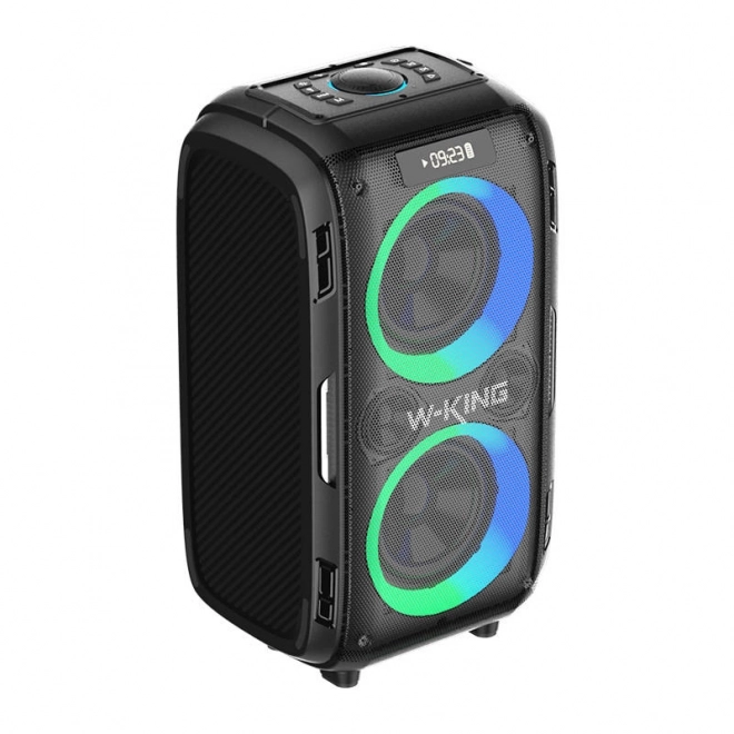 Haut-parleur sans fil Bluetooth W-KING T9 Pro 120W (noir)