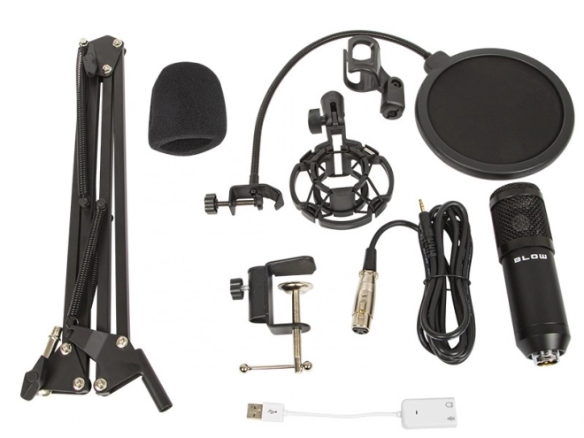 Microphone de studio avec support