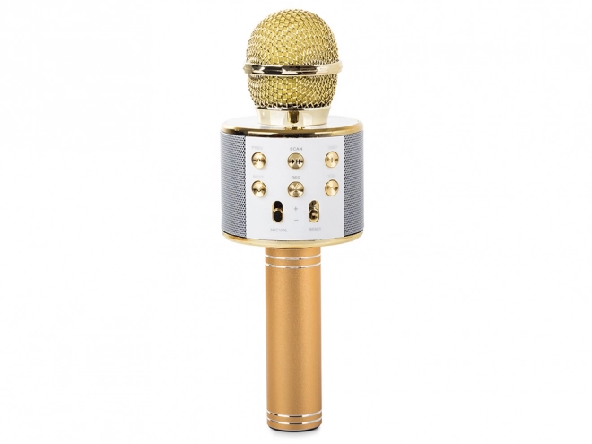 Microphone Bluetooth sans fil pour karaoké