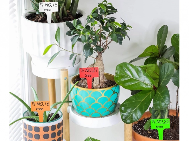Ensemble de 50 étiquettes en plastique pour plantes