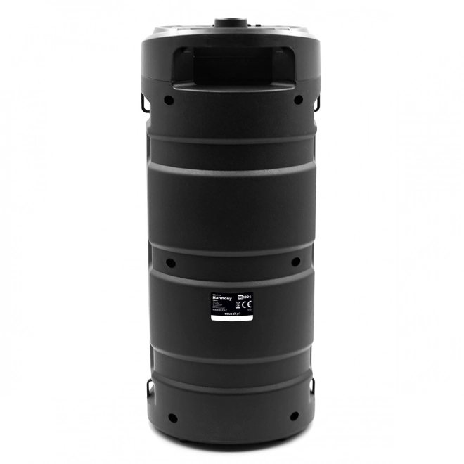 Haut-parleur Bluetooth Harmony avec fonction karaoké