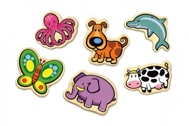 Diversité des animaux
