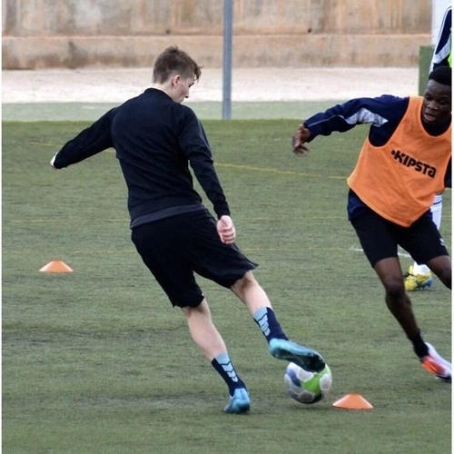 Plots d'entraînement