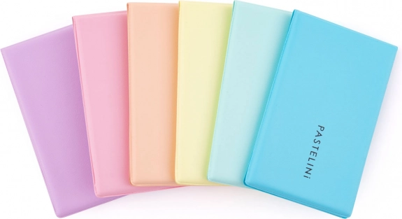Étui à documents PASTELINI mix