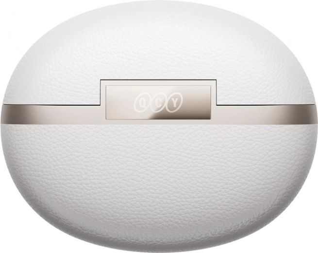 Boîtier de charge pratique