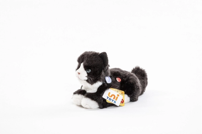 Chat en Peluche sonore 23 cm
