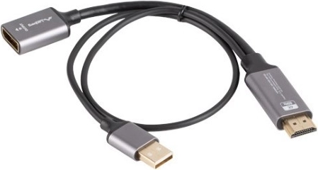Adaptateur HDMI (mâle) vers DisplayPort (femelle) 4K sur câble 20 cm, argenté