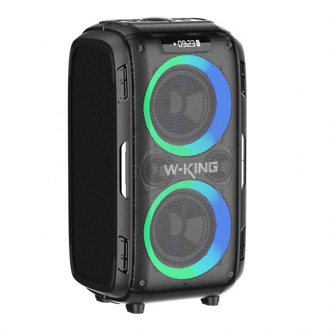 Haut-parleur sans fil Bluetooth W-KING T9 Pro 120W (noir)