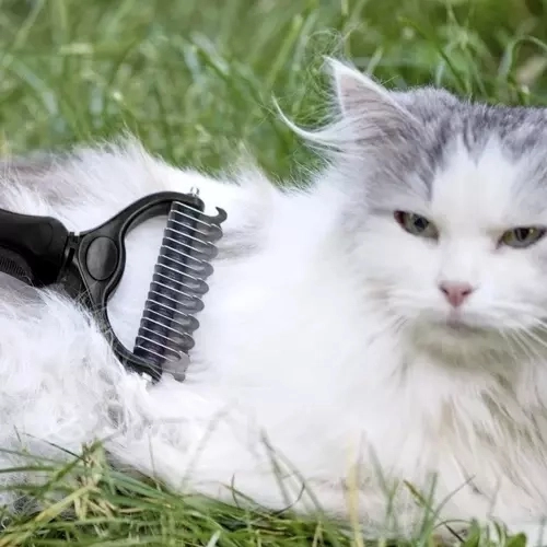 Peigne de toilettage pour animaux de compagnie Purlov 20427