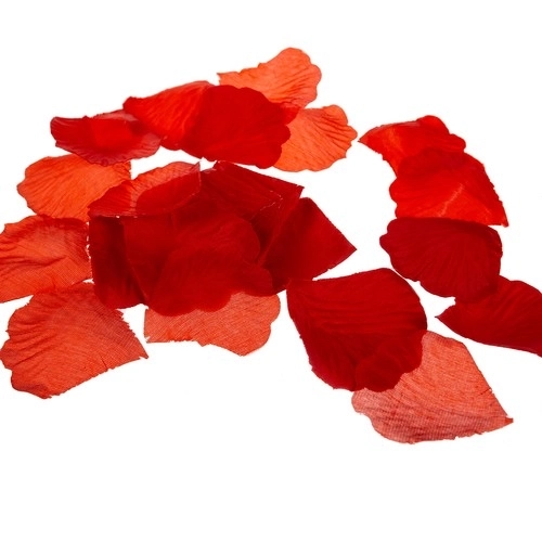Rose en verre - lumineuse