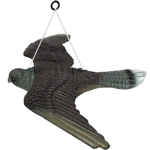 Attrape-Faucon pèlerin - Répulsif à oiseaux