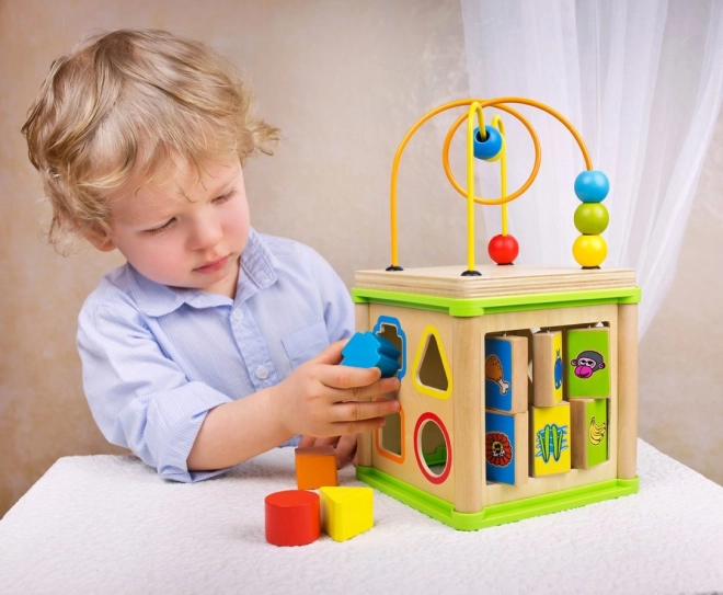 Bino Cube Motorique 5 en 1