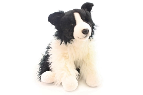 Peluche Border Collie 35 cm