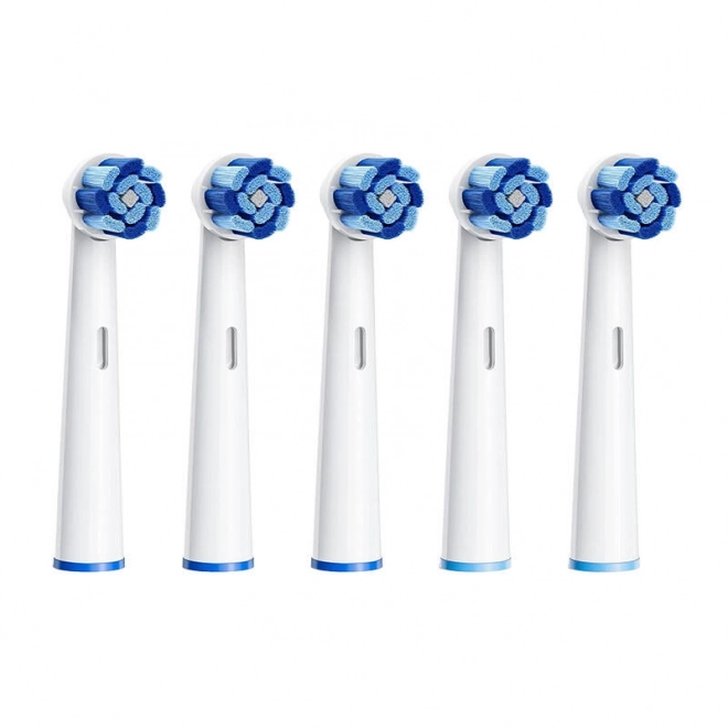 Têtes de brosses à dents de rechange Bitvae R2