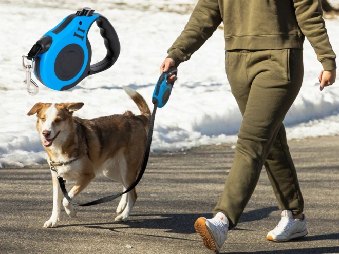 Laisse automatique pour chiens
