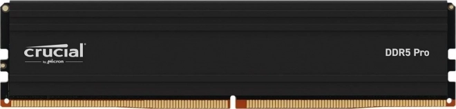 Crucial DDR5 Pro 64GB 5600MHz CL46 module de mémoire
