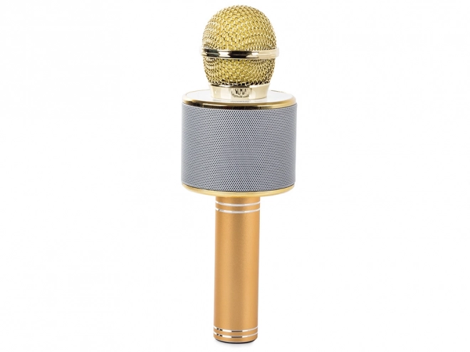 Microphone Bluetooth sans fil pour karaoké