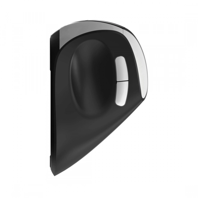 Souris ergonomique sans fil Rapoo EV250