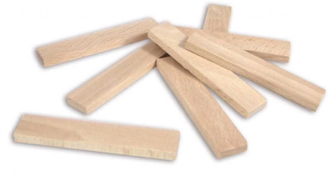Kit de construction en bois Vilac Batibloc 200 pièces