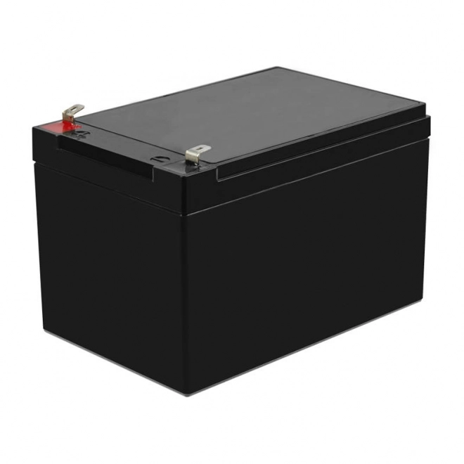 Batterie rechargeable AGM 12V 14Ah Batterie sans entretien pour UPS ALARME
