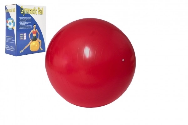 Balle de gymnastique pour exercices et relaxation