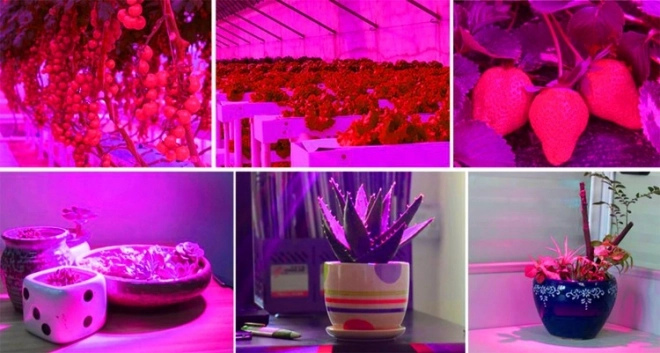 Lampe LED pour croissance des plantes 200 LED E27