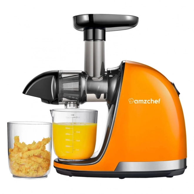 Extracteur de jus AMZCHEF orange à rotation lente