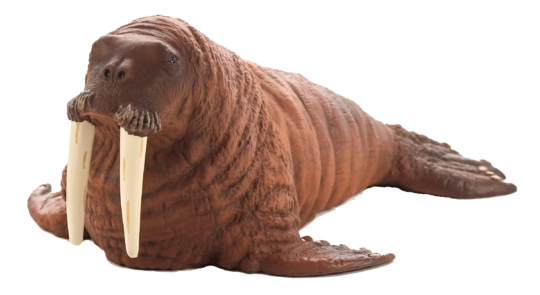 Figurine réaliste Morse Mojjo