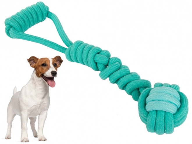 Longue corde à tirer pour chiens
