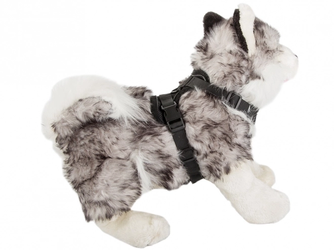 Harnais sans pression pour chiens XL