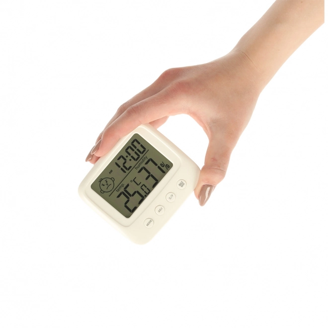 Hygromètre avec écran LCD