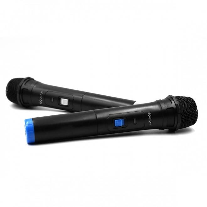 Ensemble de microphones pour karaoké VocalDuo avec portée de 30m