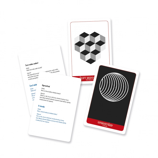 ILLUSIONS D'OPTIQUE Jeu de voyage