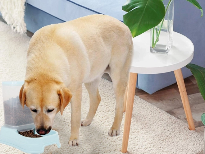 Distributeur automatique de nourriture pour chiens et chats