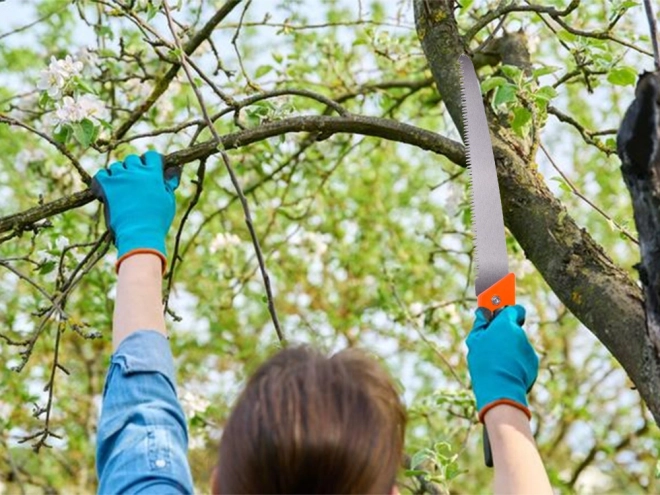Scie à main de jardin avec étui