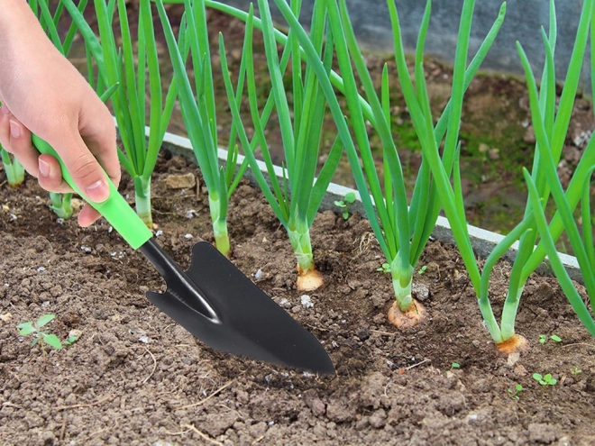 Pelle de transplantation de jardin