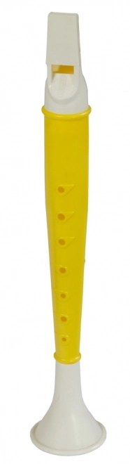 Flûte à bec pour enfants