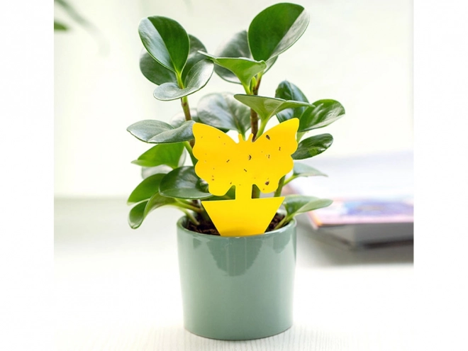 Autocollants adhésifs jaunes pour pots de fleurs