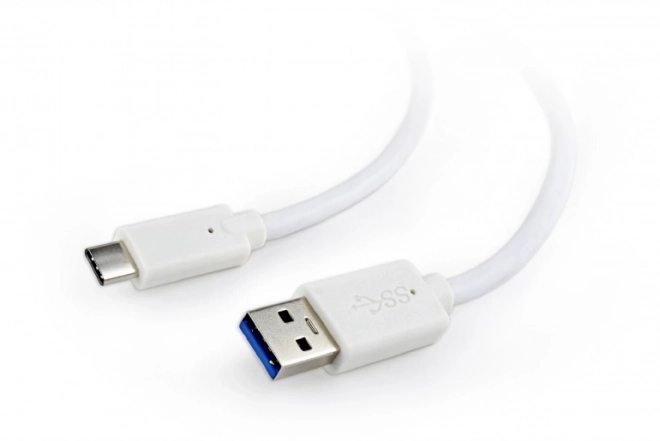 Câble USB 3.0 C AM vers CM 1m blanc
