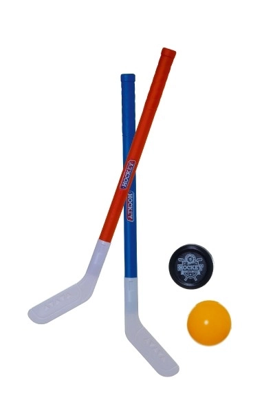 2 bâtons de hockey de 72 cm en plastique + balle de floorball + palet en plastique dans un filet