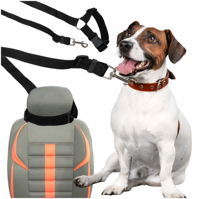 Laisse de sécurité pour ceinture de voiture pour chien et chat