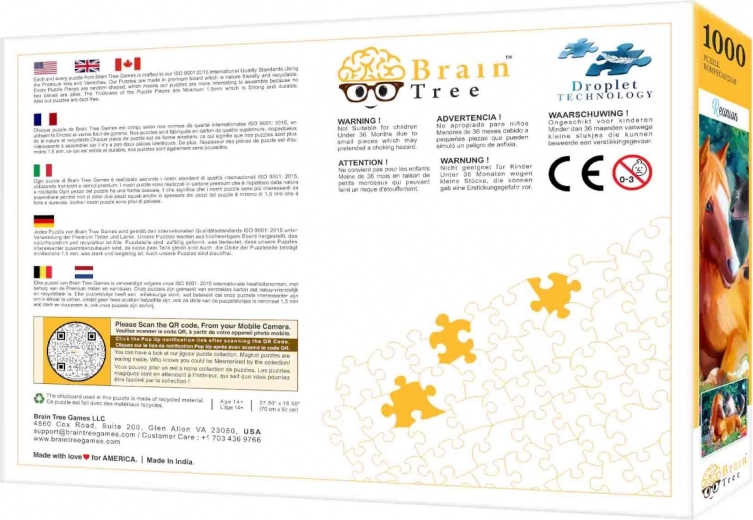 Accessoires conviviaux