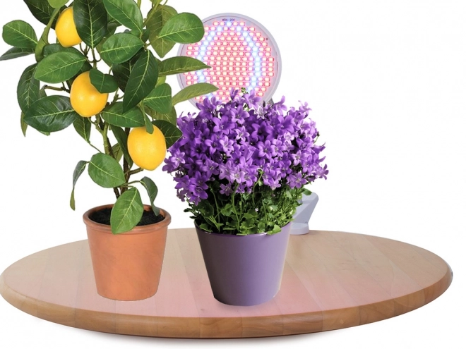 Lampe LED pour la croissance des plantes 20W