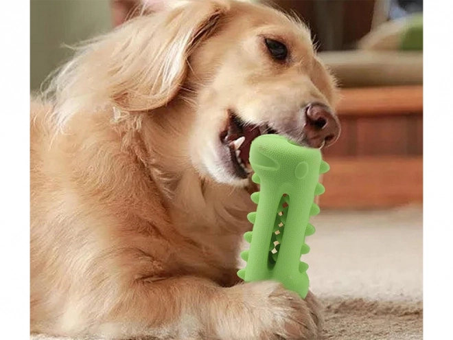 Jouet à mâcher pour le nettoyage des dents des chiens
