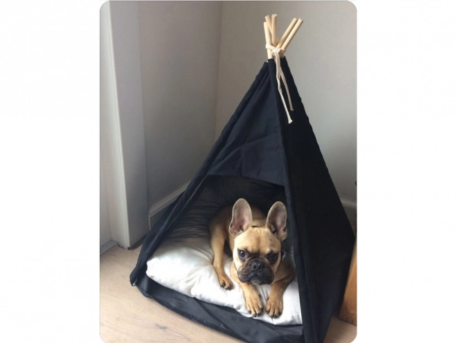 Maison de tente pour chiens et chats
