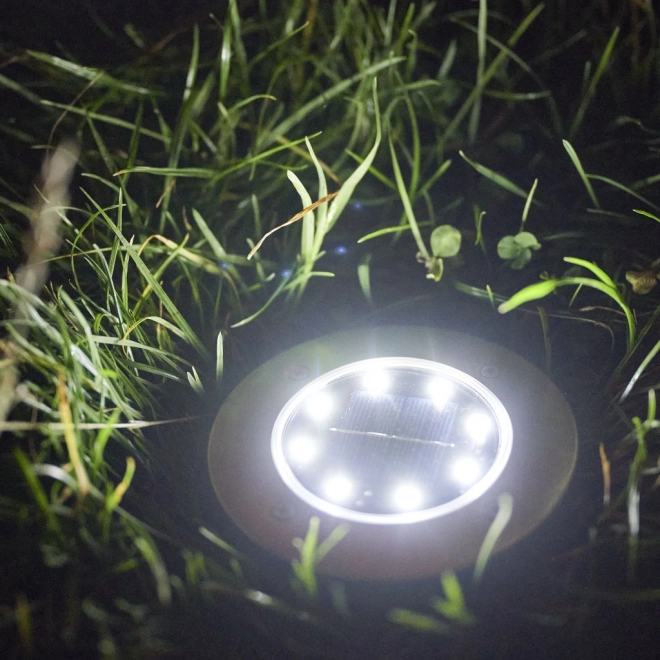 Éclairage LED de jardin solaire - 12 pièces