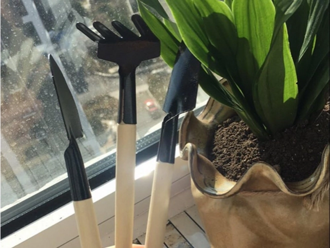 Ensemble d'outils de jardinage pour le rempotage des pots de fleurs