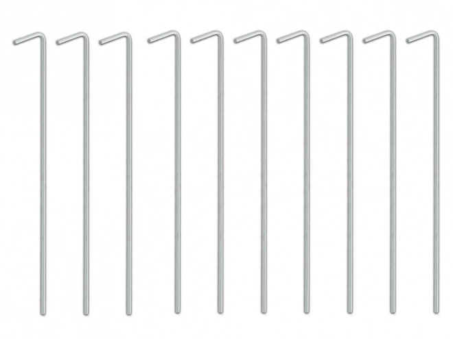 Piquets de tente en acier 24 cm 10 pièces
